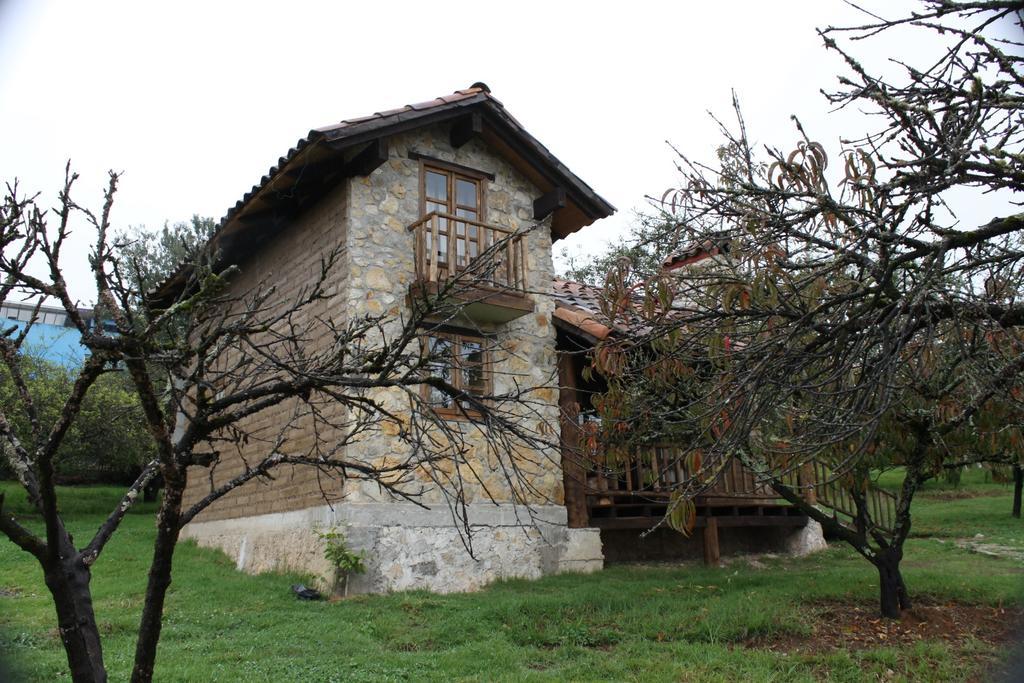 La Tierra Grande Villa Zacatlán Rum bild